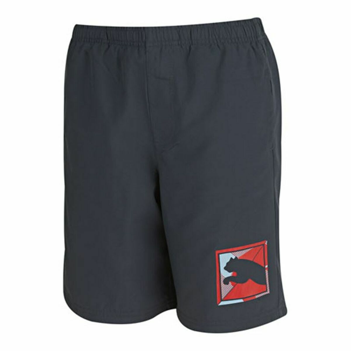 Sport Shorts for Kids Puma TD Woven 5-6 Years