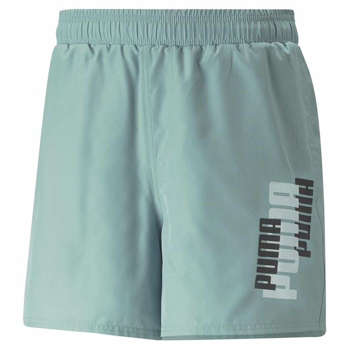 Men's Sports Shorts Puma Ess+ Logo Power Aquamarine S